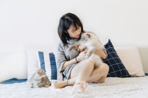 How to Create a Pet First Aid Kit at Home