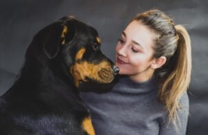 Managing Arthritis and Joint Pain in Older Pets