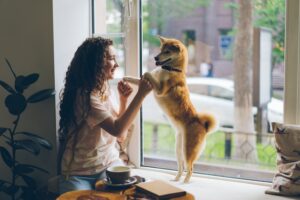 Parasite Prevention Fleas, Ticks, and Worms Explained