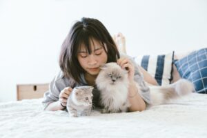 Recognizing Allergies in Pets Symptoms and Solutions